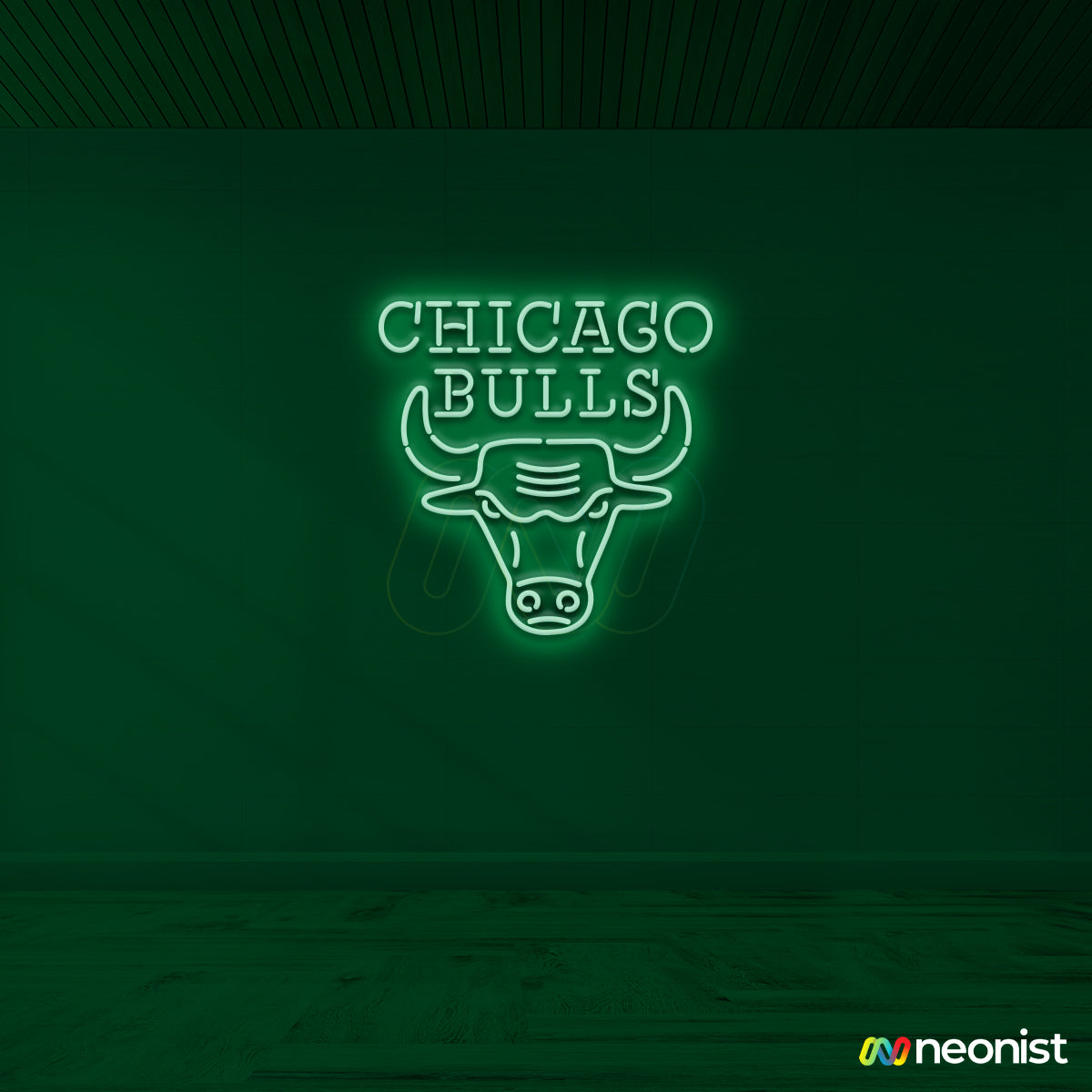 Chicago Bulls