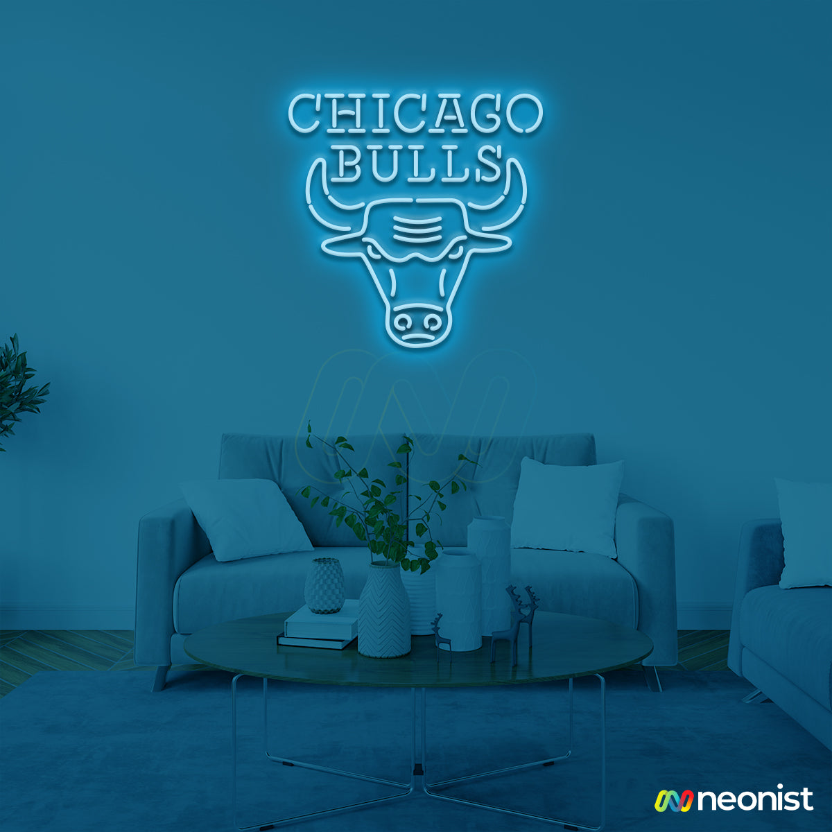 Chicago Bulls
