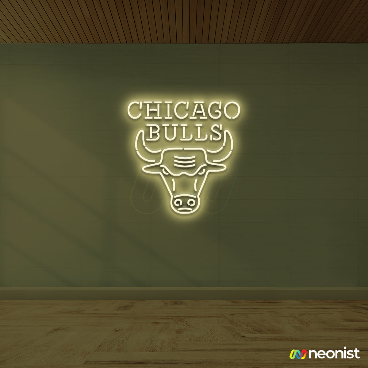 Chicago Bulls